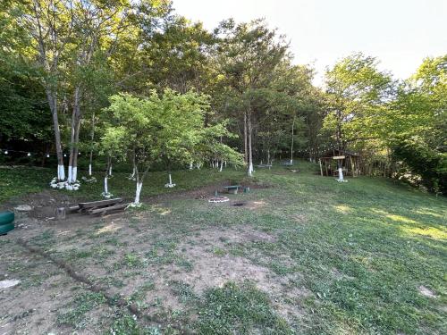 a park with benches and trees in a field at Ramona in Ambrolauri