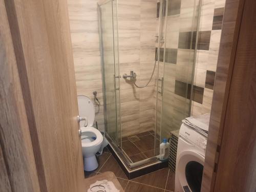 W łazience znajduje się toaleta i przeszklony prysznic. w obiekcie Leo w mieście Surčin
