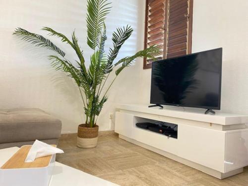 a living room with a flat screen tv and a plant at Appartement en résidence avec terrasse, piscine in Oyster Pond