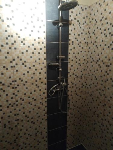 a shower in a bathroom with black and brown tiles at Kékmadár Vendégház Alsómégy in Homokmégy