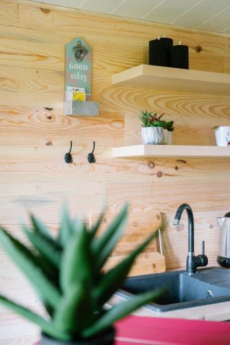 a kitchen with a sink and a counter with a plant at Les Glycines de Monchy- Chambres d'hôtes in Monchy-Humières