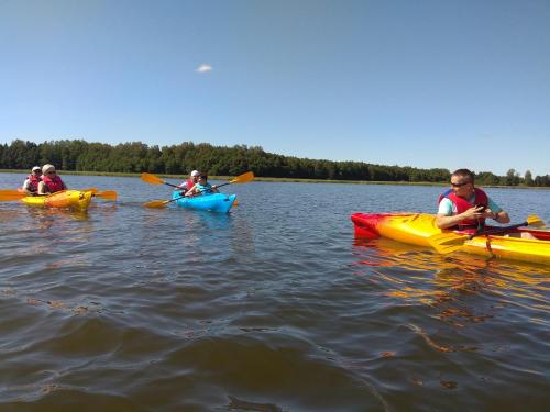 Siedlisko u Szczygłów