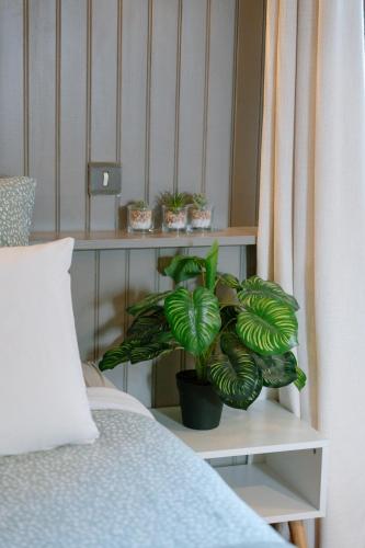 a plant sitting on a shelf next to a bed at Les Glycines de Monchy- Chambres d'hôtes in Monchy-Humières