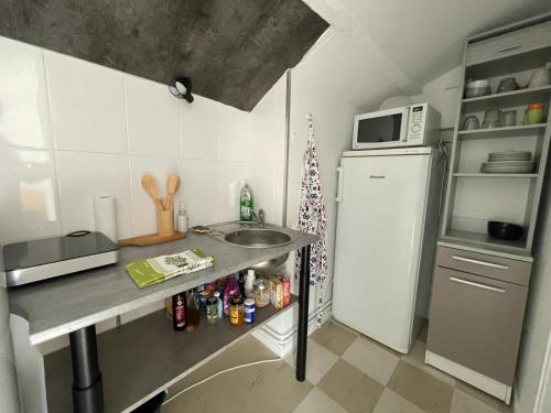 une petite cuisine avec un évier et un réfrigérateur dans l'établissement Les Hauts de Saint Jacques - Cognac, à Cognac