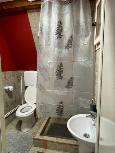a bathroom with a toilet and a sink at Zeleni chill in Kopaonik