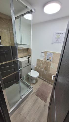 une salle de bain avec une douche en verre et des toilettes dans l'établissement Le petit chez nous Gîte climatisé jardin, à Pignans
