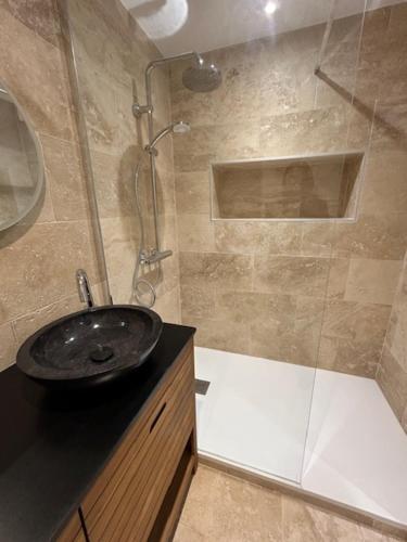 une salle de bain avec un lavabo et une douche dans l'établissement Maison 5 chambres avec vue sur le Vercors, à Saint-Bonnet-de-Chavagne