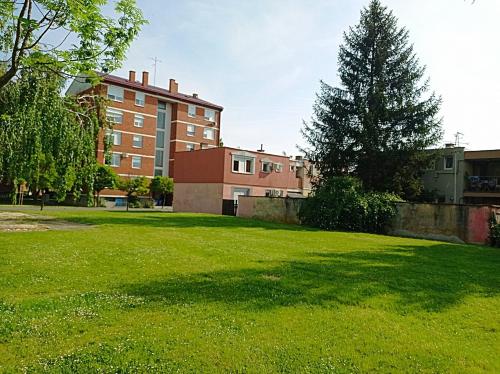 zielony dziedziniec z drzewem i budynkiem w obiekcie Apartman Esseg - Luxury Living in Historic Esseg w mieście Osijek