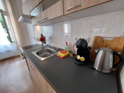 Kuchyň nebo kuchyňský kout v ubytování Apartmán ČSA #3# v centru Hradec Králové