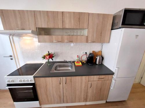 Kuchyň nebo kuchyňský kout v ubytování Apartmán ČSA #3# v centru Hradec Králové