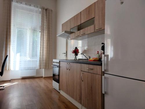 Kuchyň nebo kuchyňský kout v ubytování Apartmán ČSA #3# v centru Hradec Králové