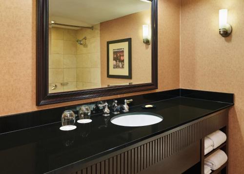 Sheraton Lisle Naperville Hotel في ليل: حمام مع حوض ومرآة كبيرة