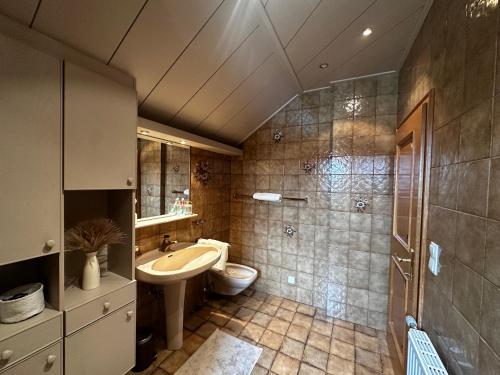 a bathroom with a sink and a toilet and a shower at Landhaus Pannonia in Trausdorf an der Wulka
