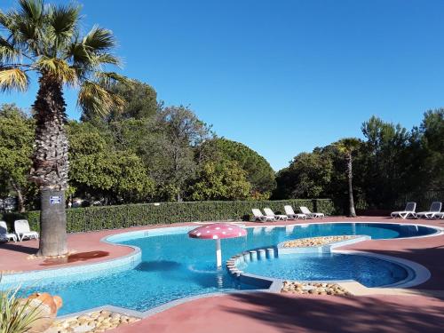 a pool with chairs and an umbrella and a palm tree at Cap d'Agde chalet vue sur la mer in Agde