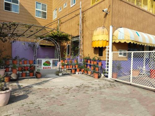 a building with a store with potted plants on it at Xinyuanbao Shangshi Homestay in Donggang