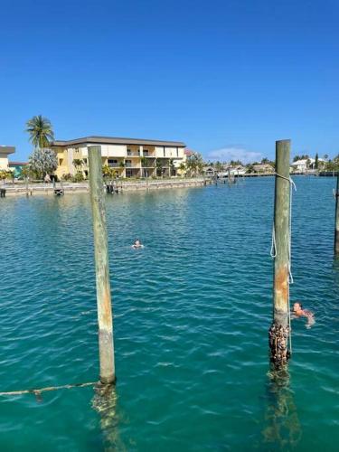 two poles in a body of water with people swimming at Beautiful 3 Bed 3 & a half Bath Home with Pool & Dock Slip in Freeport