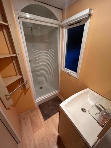 La petite salle de bains est pourvue d'une douche et d'une fenêtre. dans l'établissement Mobil-Home avec belle exposition, à Saint-Chéron