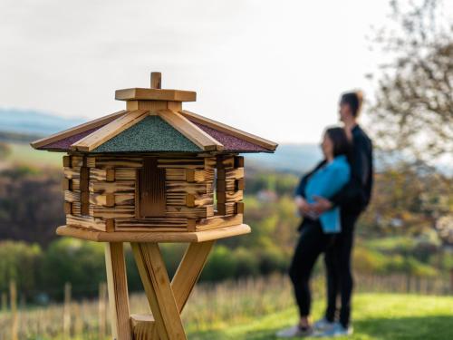 a couple standing next to a wooden bird house at WeinSpitz - Wellness House in Miklavž pri Ormožu