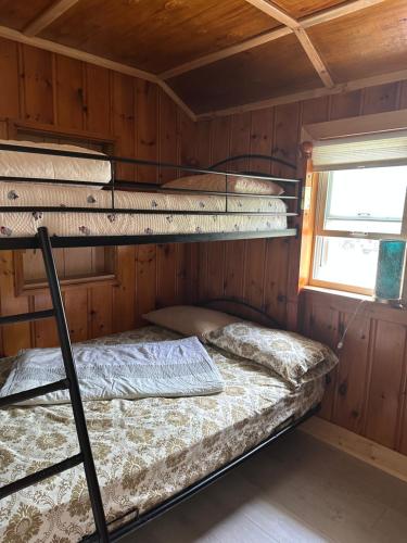 two bunk beds in a cabin with a window at Duck Bay Waterfront Retreat in Waubaushene