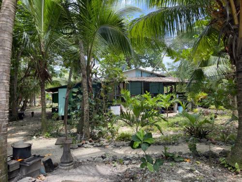 a house in the middle of a jungle with palm trees at Casa Mamré in Cahuita