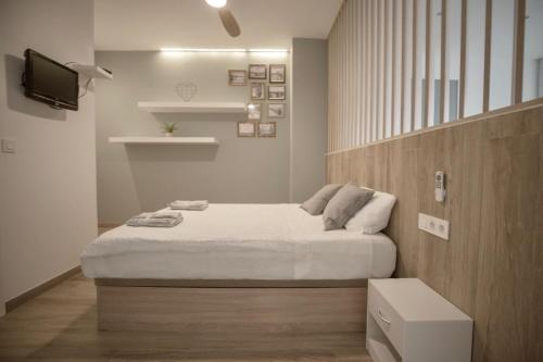 a bedroom with a bed and a television in it at Loft de diseño junto a la dama de Elche in Valencia