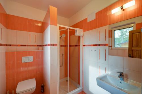 a bathroom with a shower and a sink at Apartmány Stříbrňák in Hradec Králové