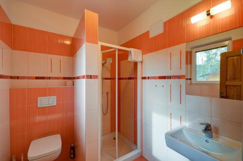 Kúpeľňa v ubytovaní Apartmány Stříbrňák