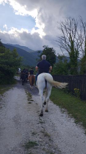 a man riding a white horse down a road with cows at B&B La Casa D Ju Nan in Bussi sul Tirino