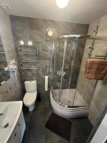 a bathroom with a shower and a toilet and a sink at Nemo - apartament, domek w Gaskach in Gąski