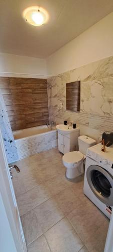 bagno con servizi igienici, lavandino e lavatrice di Apartament Sânpetru-Brașov a Sînpetru