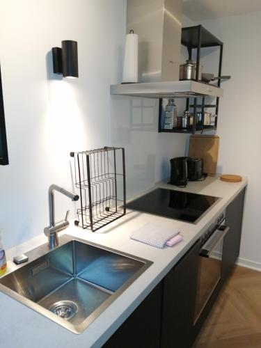 a kitchen with a sink and a counter top at Mitten im Grünen - Apartment mit Wohlfühlcharakter in Stadtrandlage in Eutin