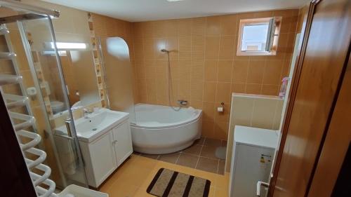 a bathroom with a tub and a sink and a shower at Ágica Vendégház in Andornaktálya