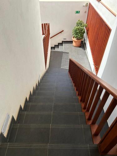 a staircase in a building with a potted plant at Papaya Apartments Sal Island in Santa Maria