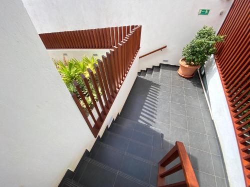 a staircase in a house with plants on it at Papaya Apartments Sal Island in Santa Maria