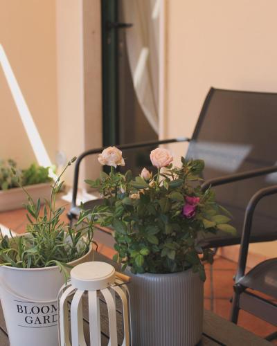 two vases with flowers sitting on a table at Dimidium Apartment in Guspini