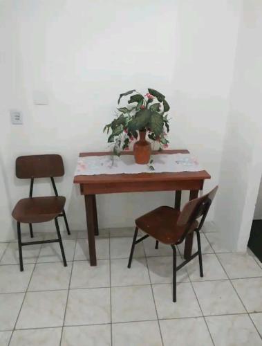 阿雷格里港的住宿－Apartamento Confortável，一张桌子,上面有盆栽植物和两把椅子