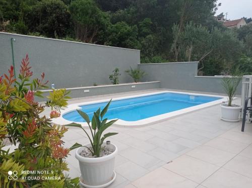 una piscina en un patio trasero con plantas en Bleus Apartments, en Brna