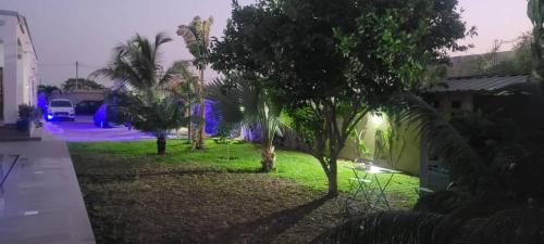 a yard with palm trees and a street at night at Keur Aïda in Malikounda Sas