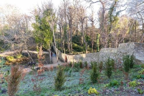 a garden with a stone wall and trees at Woodward Square One by Dublin At Home in Dublin
