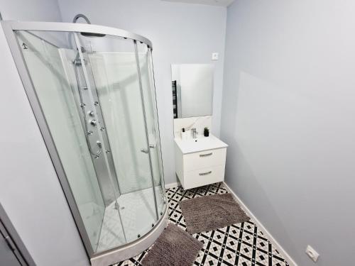 a bathroom with a shower and a sink with a mirror at AU BON PLAN in Maubeuge