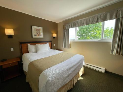 Un dormitorio con una cama grande y una ventana en Diplomat Motel en Nanaimo
