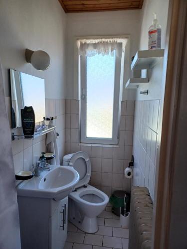 baño con aseo y lavabo y ventana en Apartment in Hirtshals, en Hirtshals