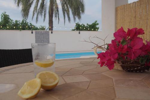 un vaso de zumo de naranja y una rodaja de limón sobre una mesa en Casa Iantmar 2 en El Altet