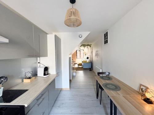 une cuisine avec un long comptoir et un couloir dans l'établissement Hébergement centre de la Mûre, à La Mure