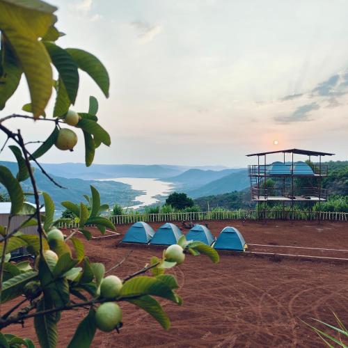 a group of tents on a hill with a basketball hoop at Yuva Yatri Campsite in Mahabaleshwar