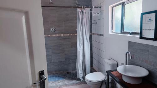 a bathroom with a shower with a toilet and a sink at Royal Home Guesthouse in Maun