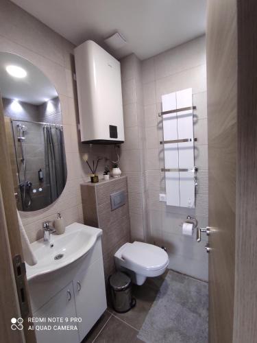 a bathroom with a white toilet and a sink at Tesoro apartmani Spa&Wellness in Zlatibor