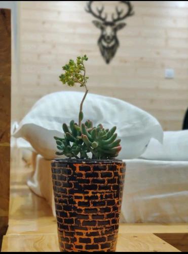 a plant in a brick vase on a table at Lacasa Luxury Stays in Shogi