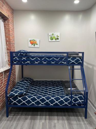 a blue bunk bed in a room at 31 Street Broadway Hotel in New York