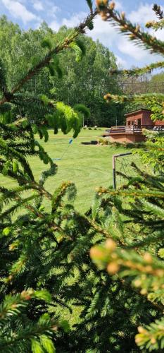 a field of grass with a house in the background at Mana Village - Jacuzzi & Sauna in Barłomino